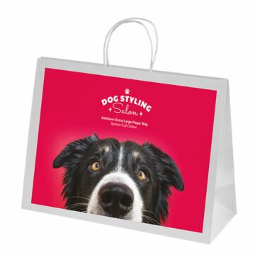 P074 Ashdown White XL Paper Gift Bag - Full Colour