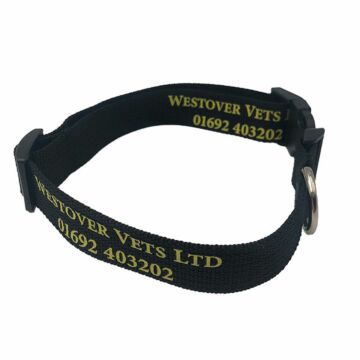 P055 rPET Dog Collar - 1 Colour